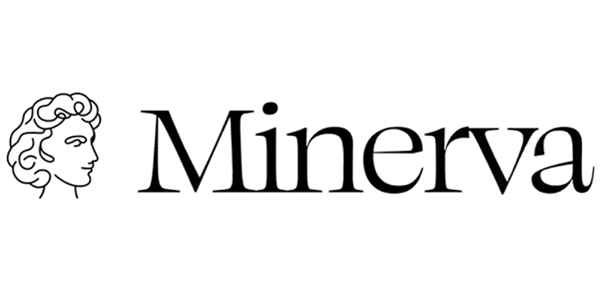 Minerva Intelligence