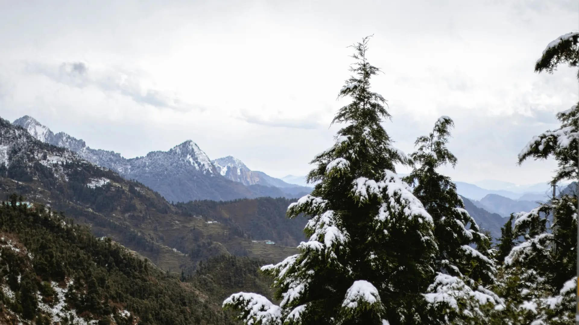 Shimla Manali