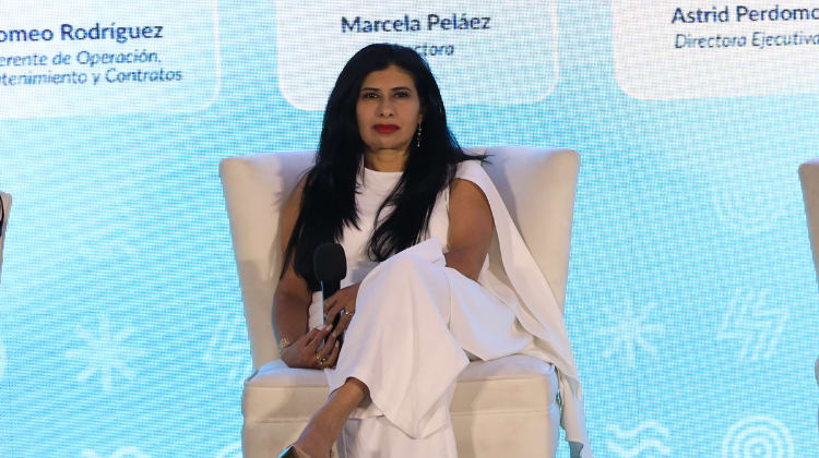 Guatemala sale a buscar otros 300 MW: La CNEE anticipó en FES cómo serán las licitaciones PEG-6 y PET-4