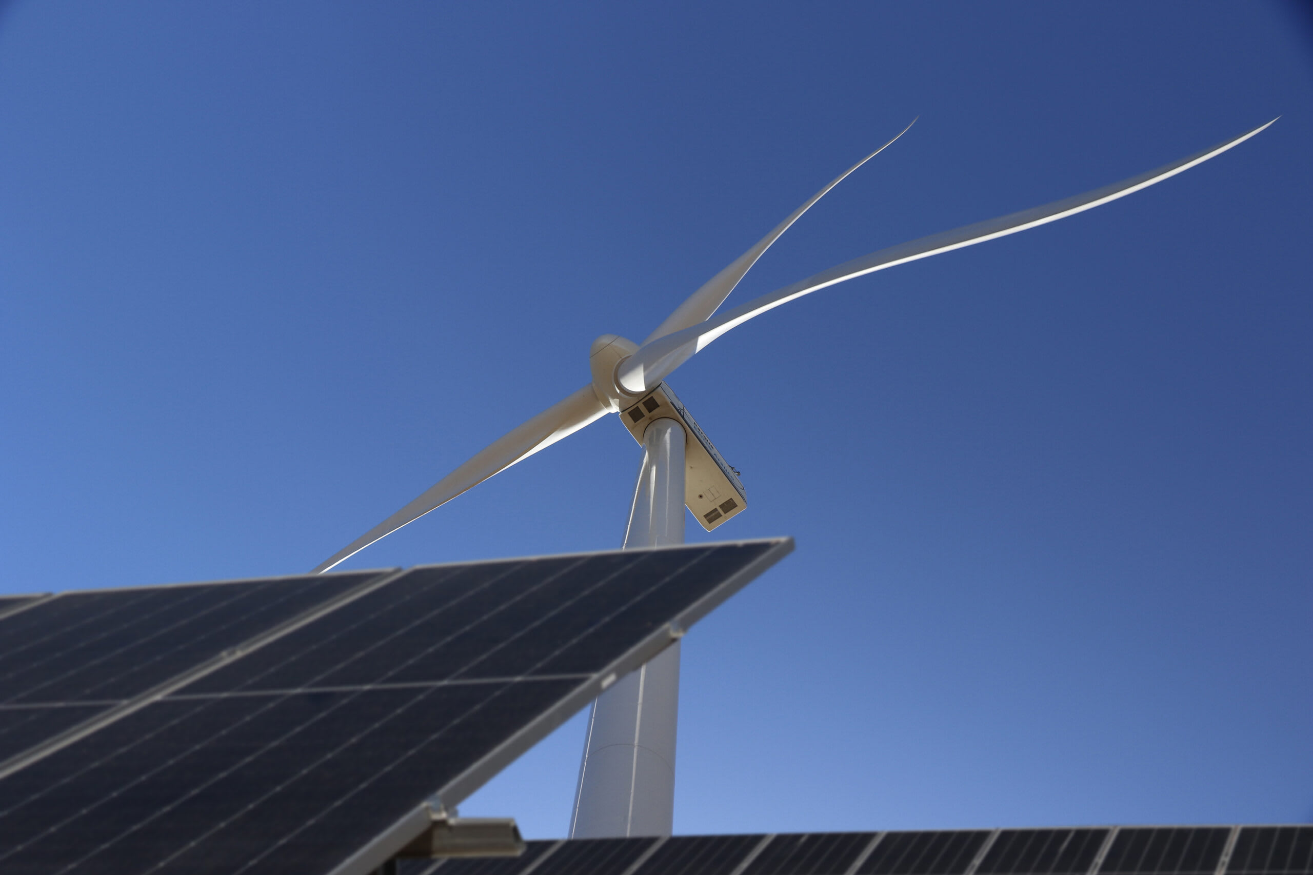 "La eólica ya no juega sola": Arauco analiza convertir 100 MW al negocio solar