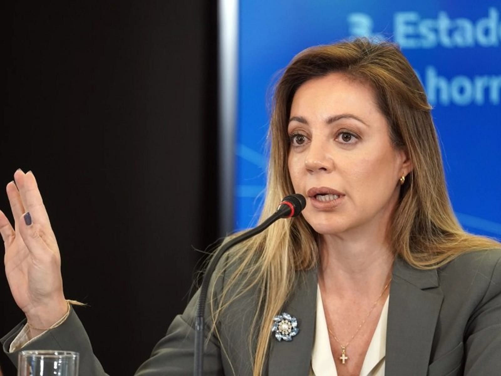 Royón convocará a la oposición para tratar proyectos de hidrógeno pero con guiños al gas