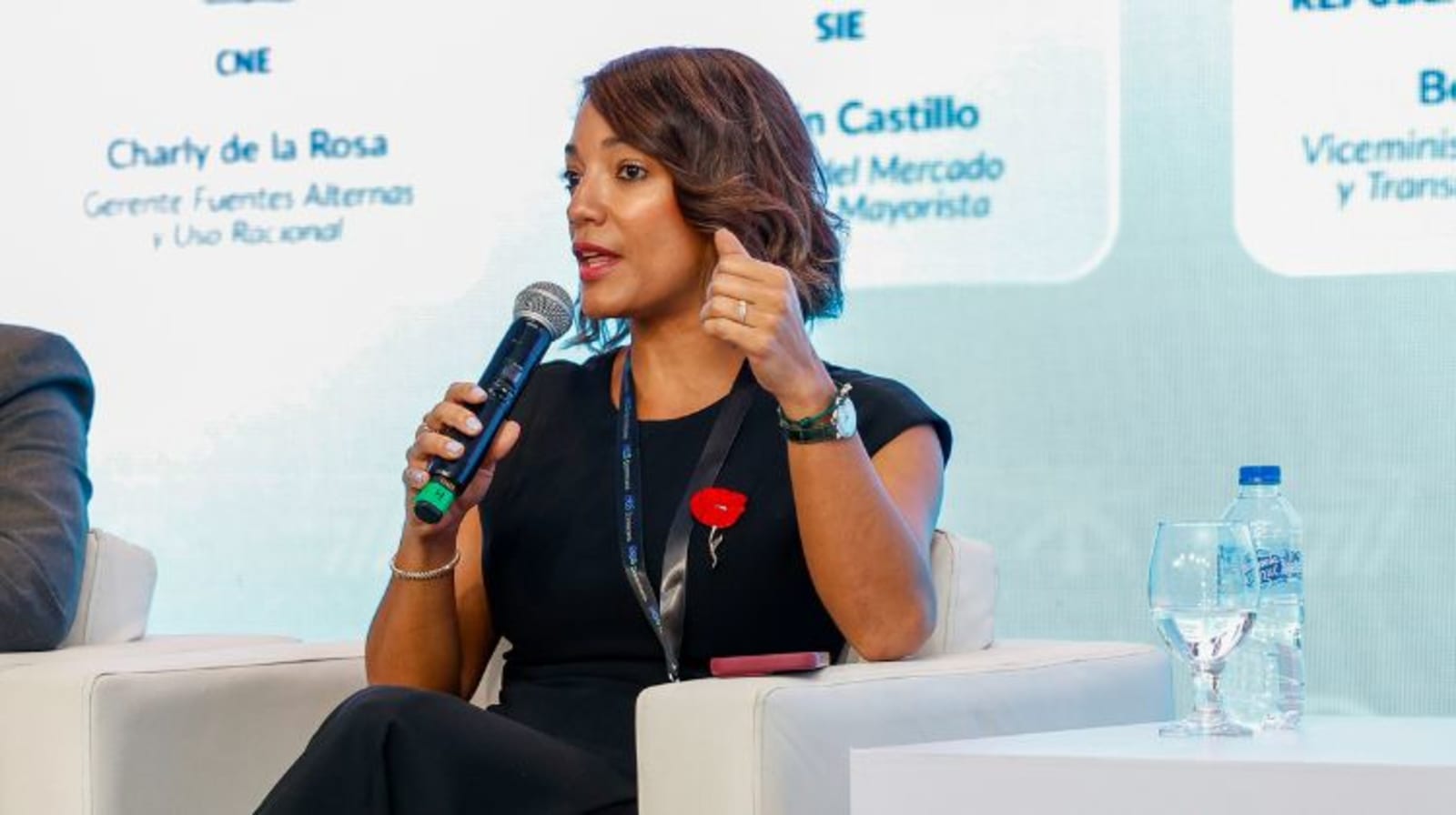 Exclusivo FES Caribe: República Dominicana prepara nuevas licitaciones y proyecta 2000 MW en almacenamiento
