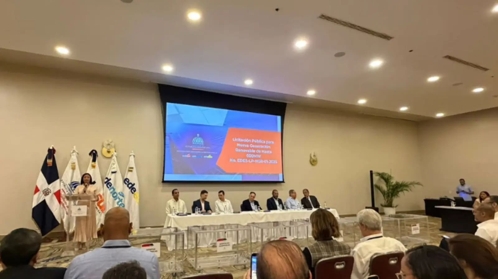 licitación BESS república dominicana precios altos