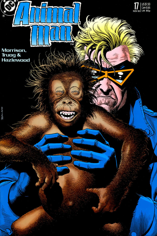 Cover of Animal Man #17