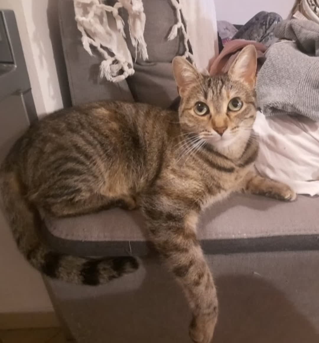 BEA