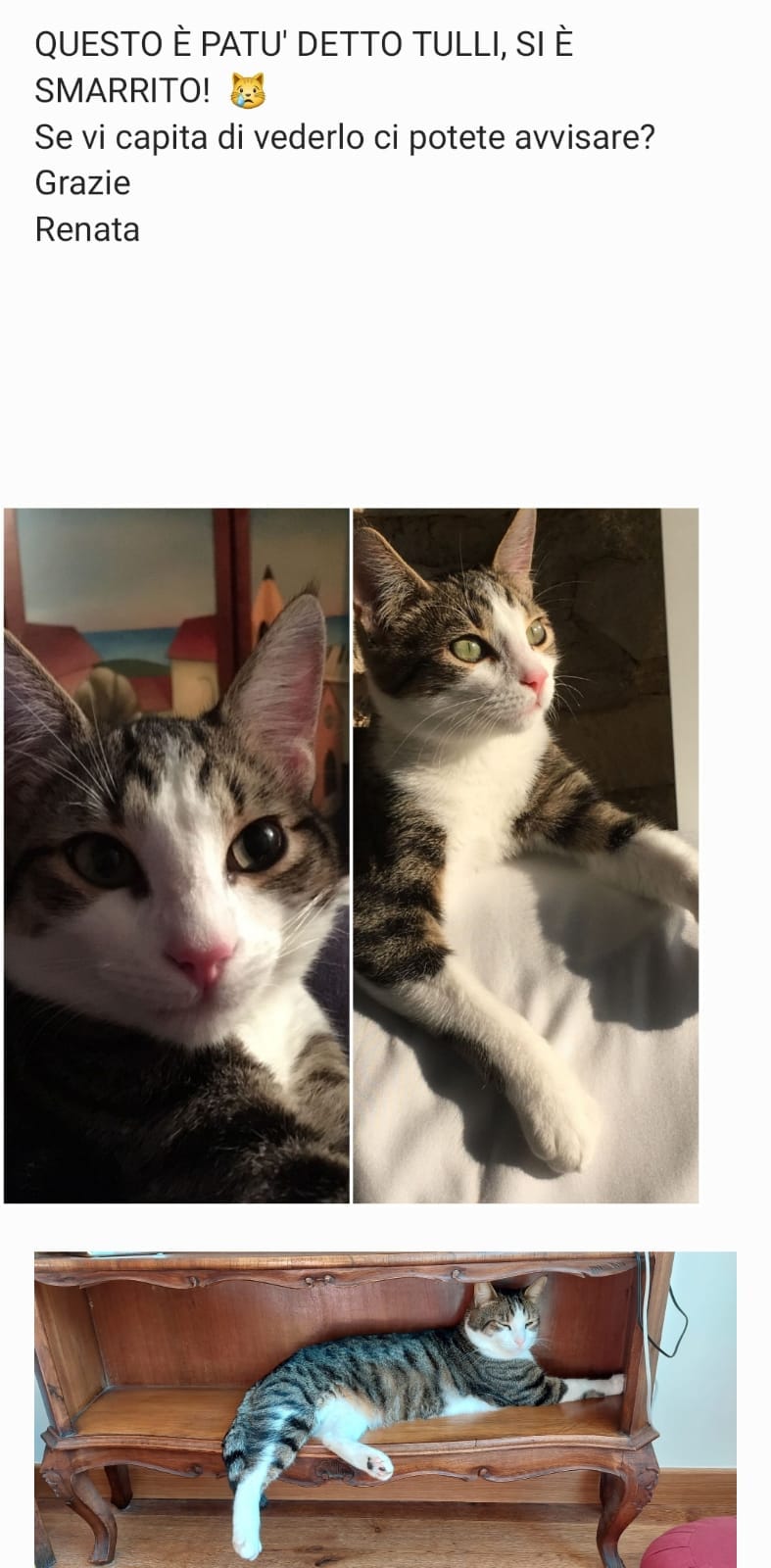 PATÙ