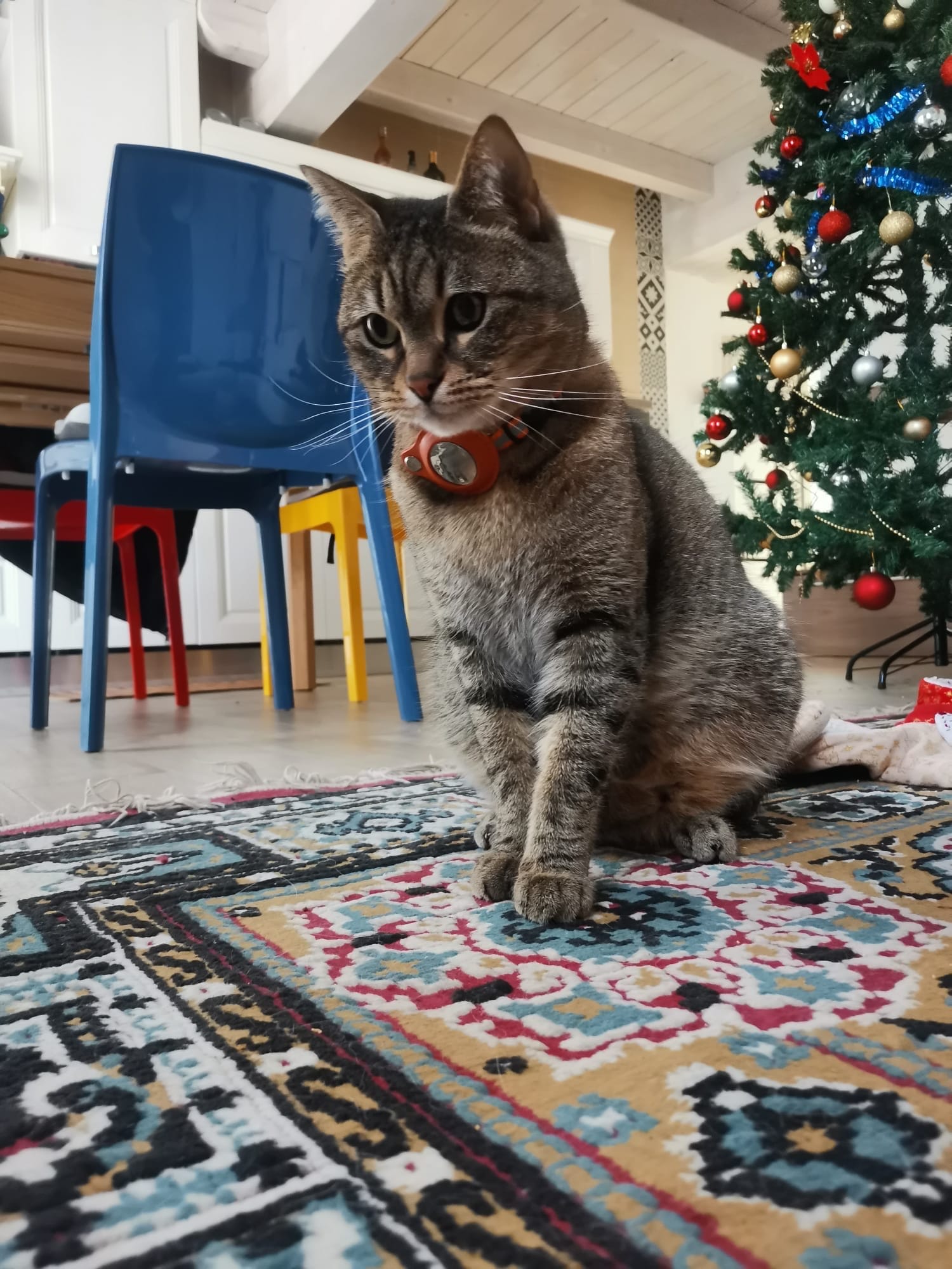 Romeo