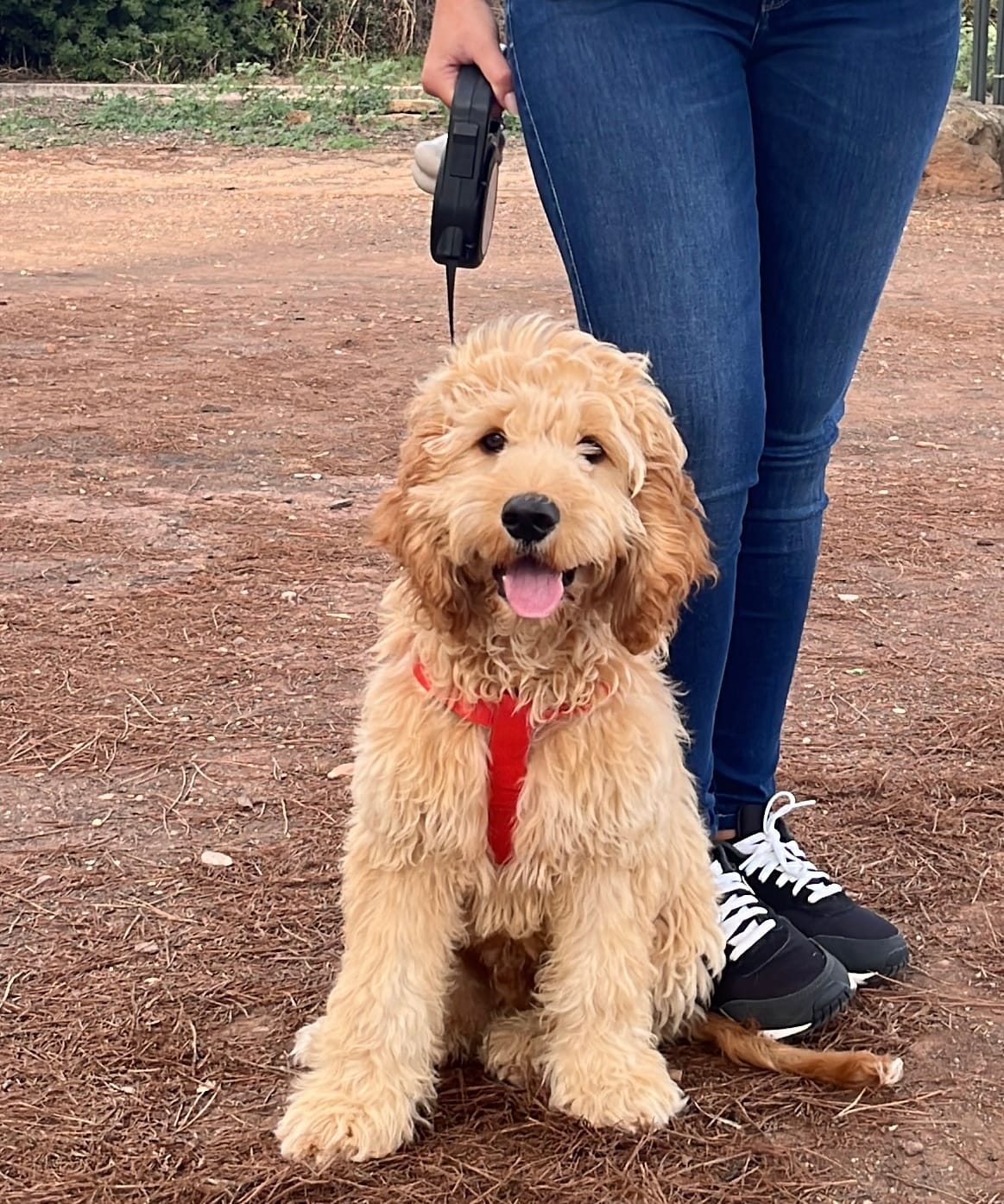 Paco