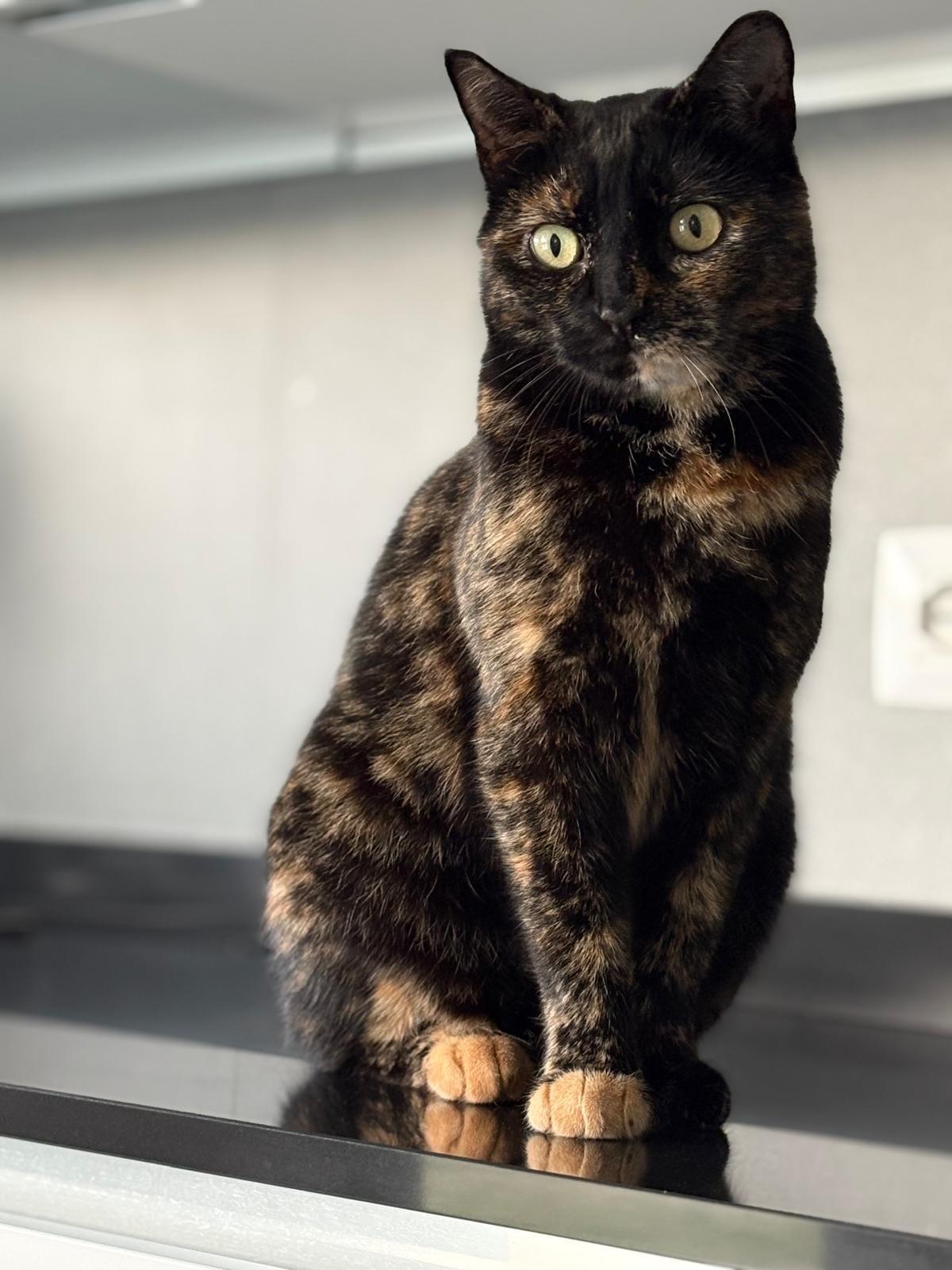 Nikita