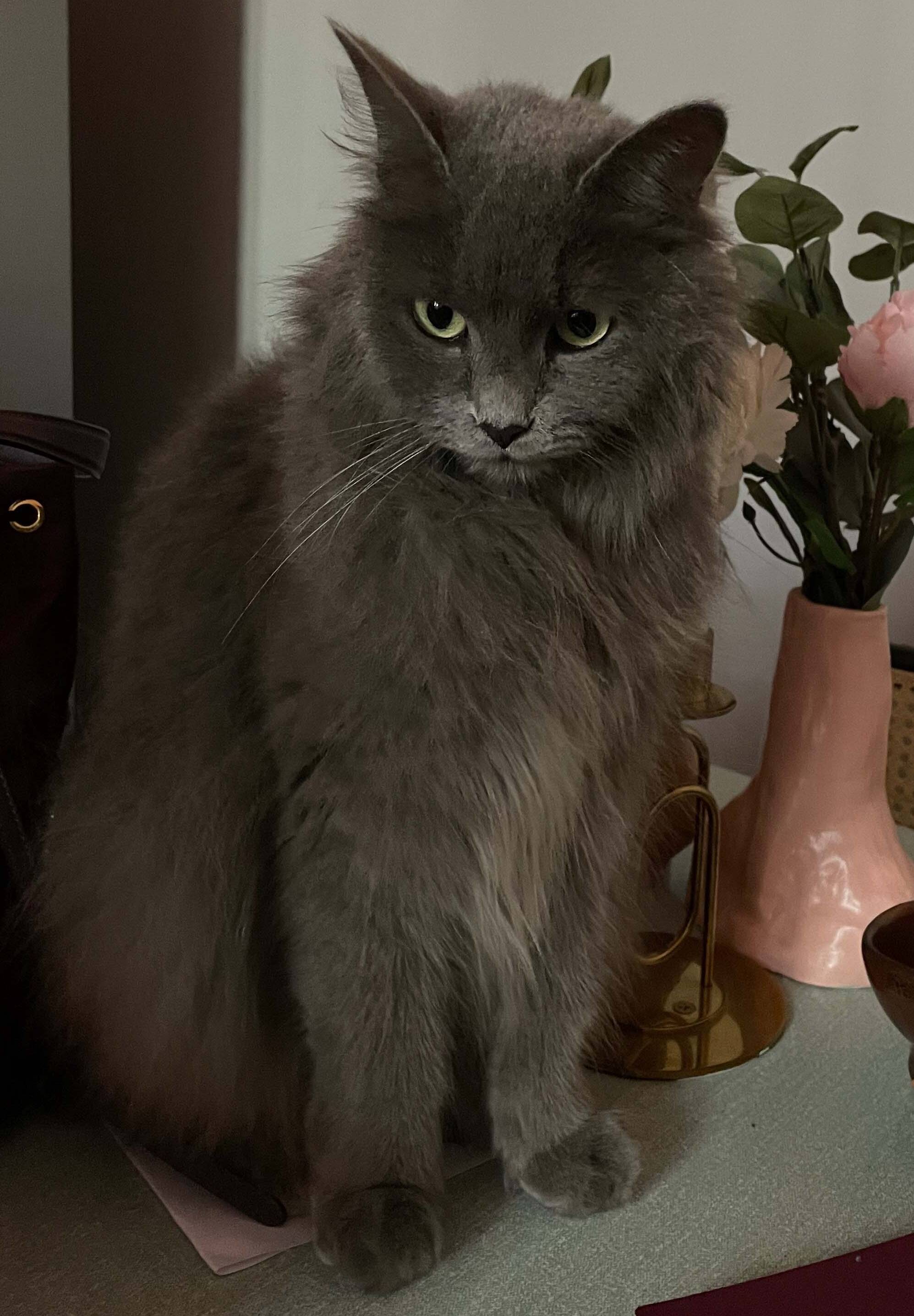 Ornella