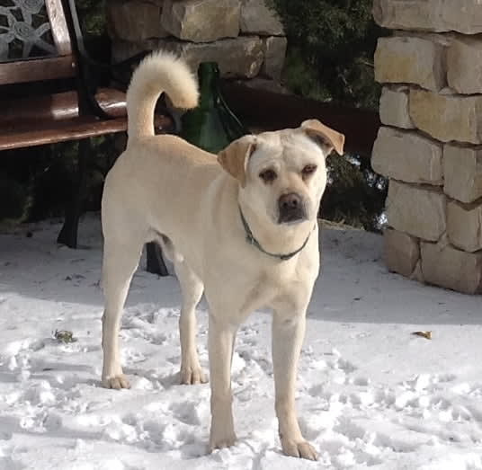 Zeus
