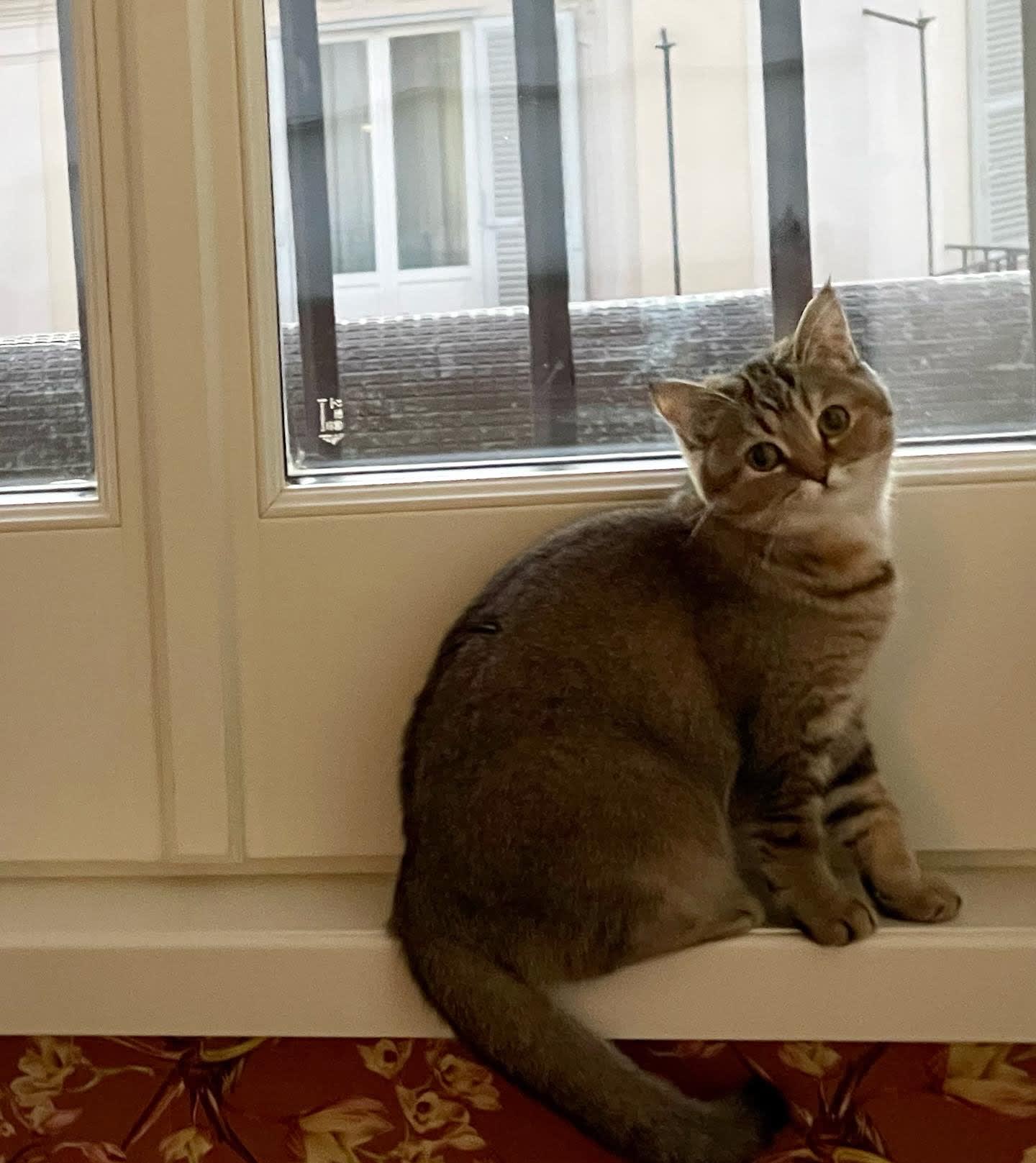 Cleo