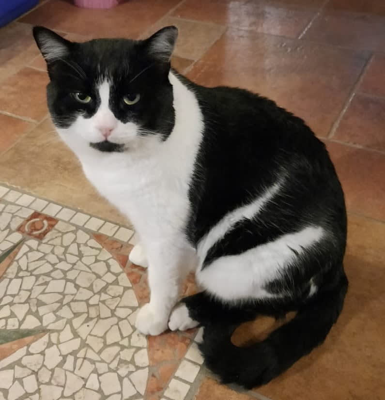 TOM