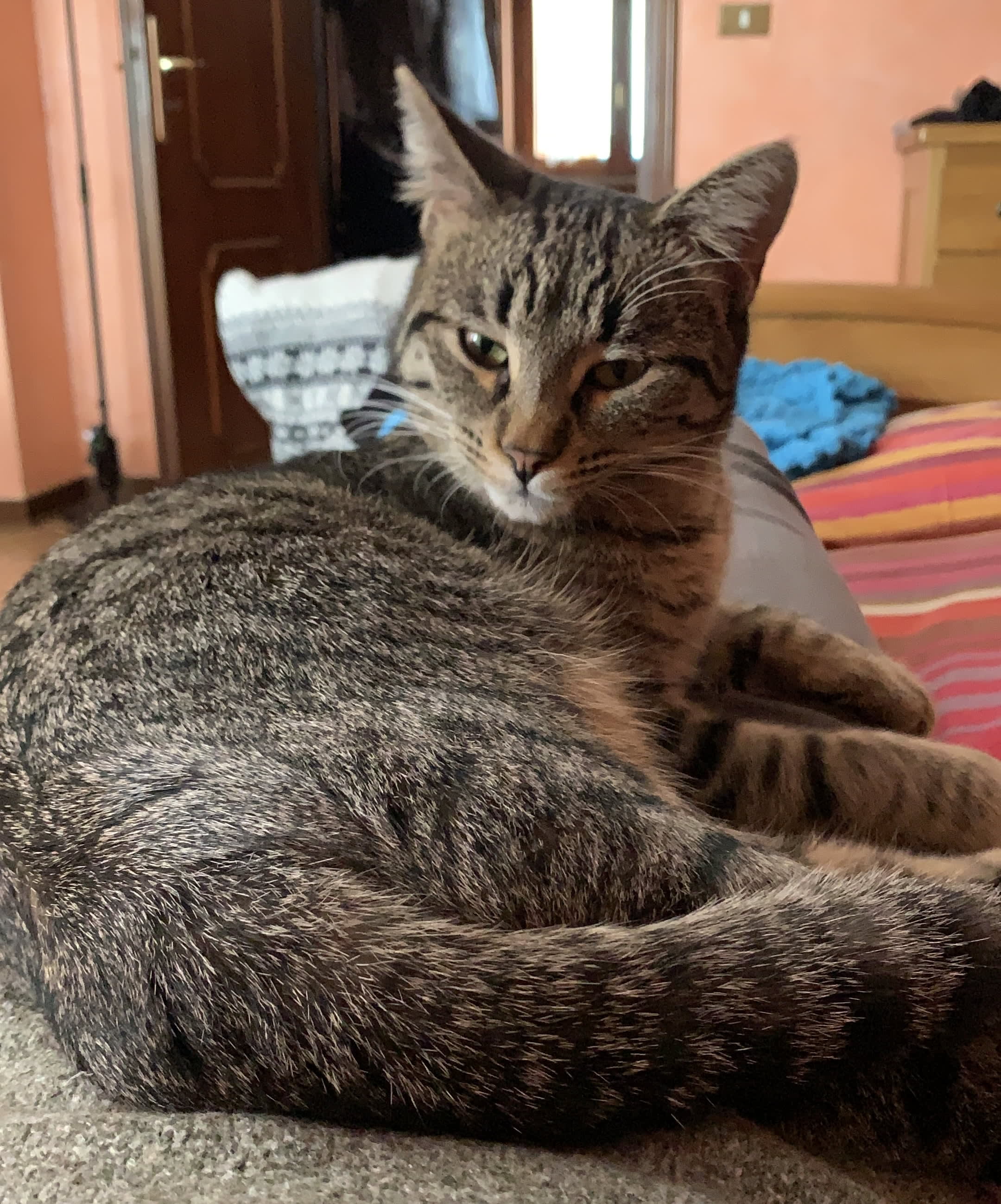 Kali