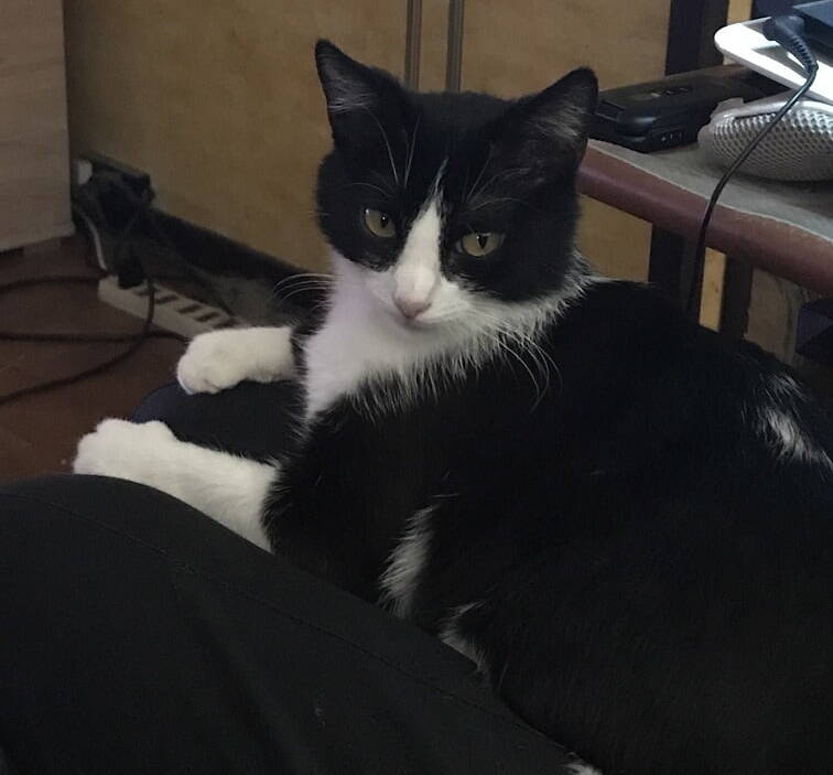 MIMI