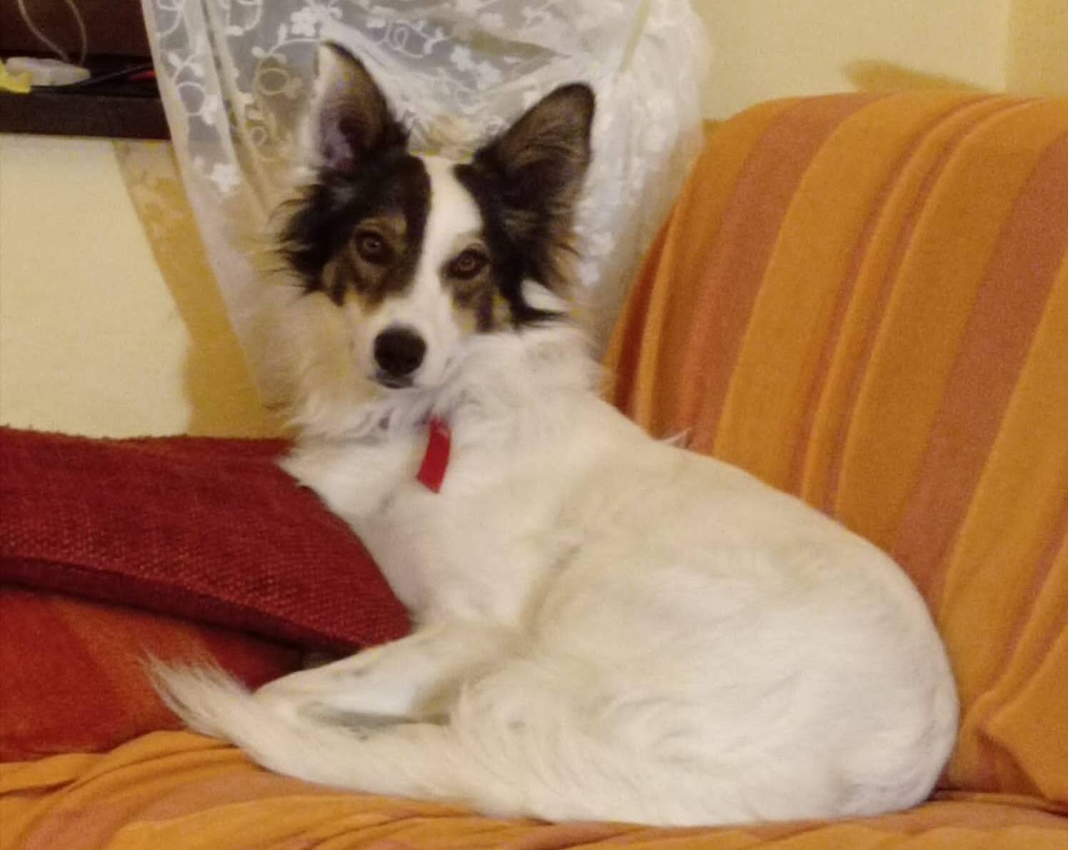 Kira