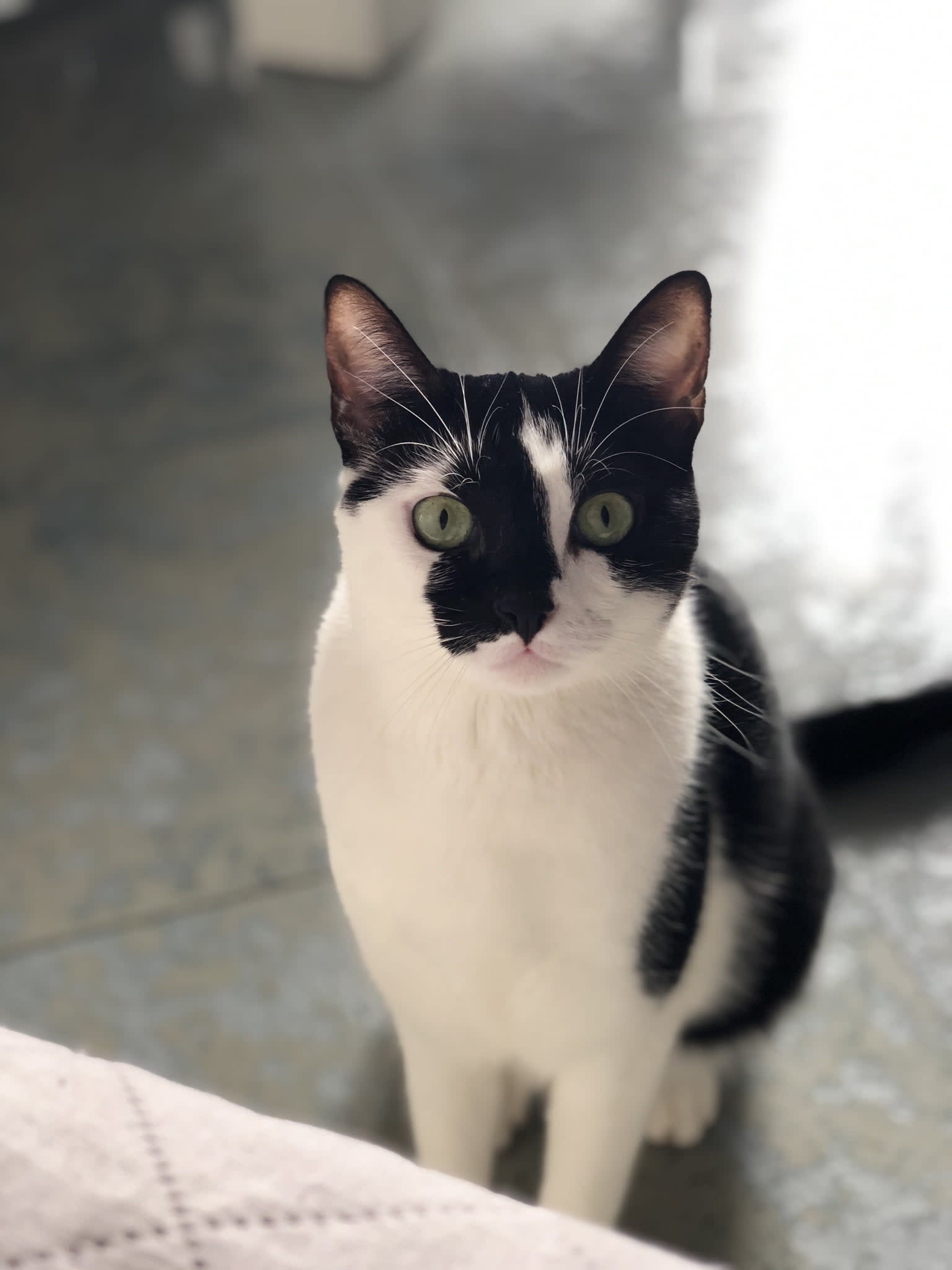 Luna