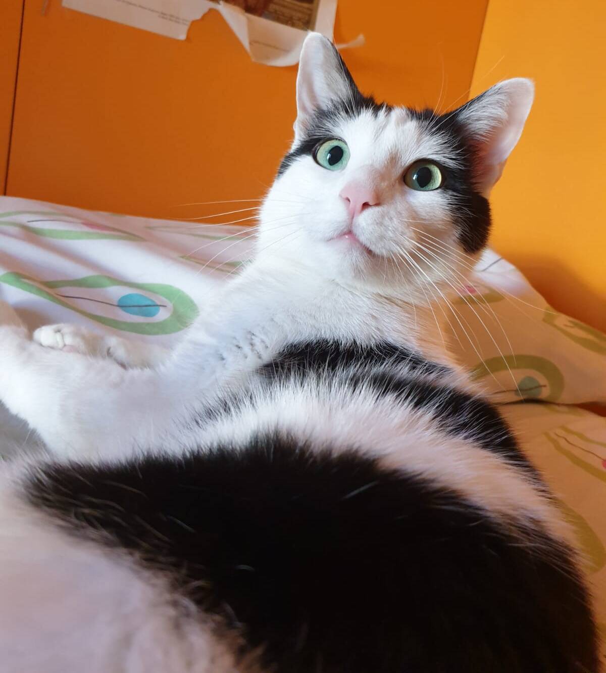 Michico