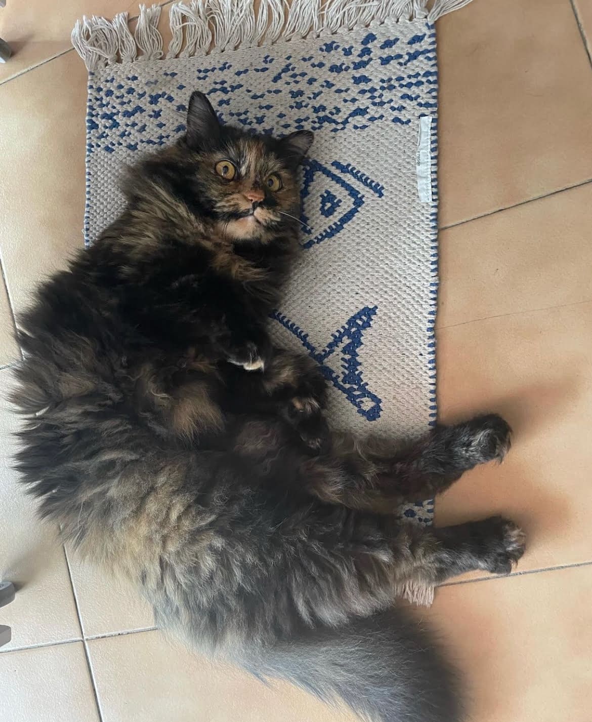 COCO’