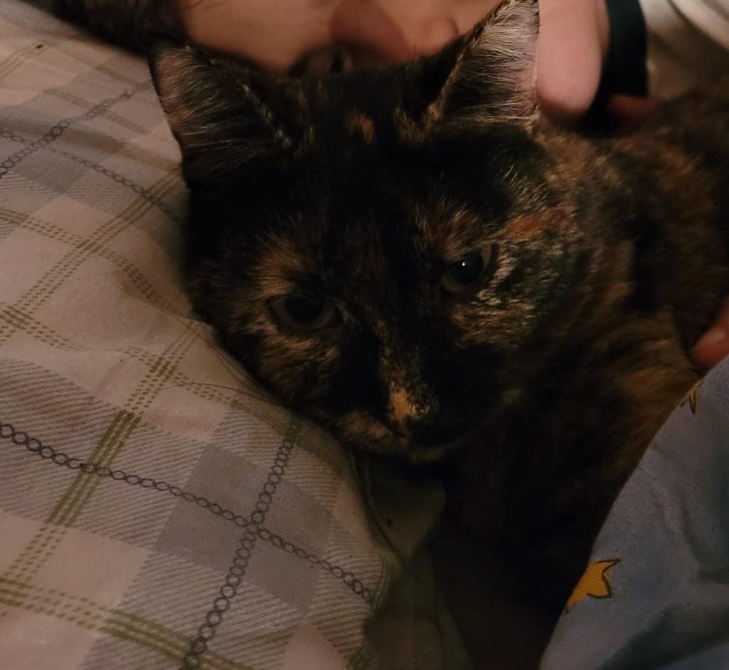 Cleo