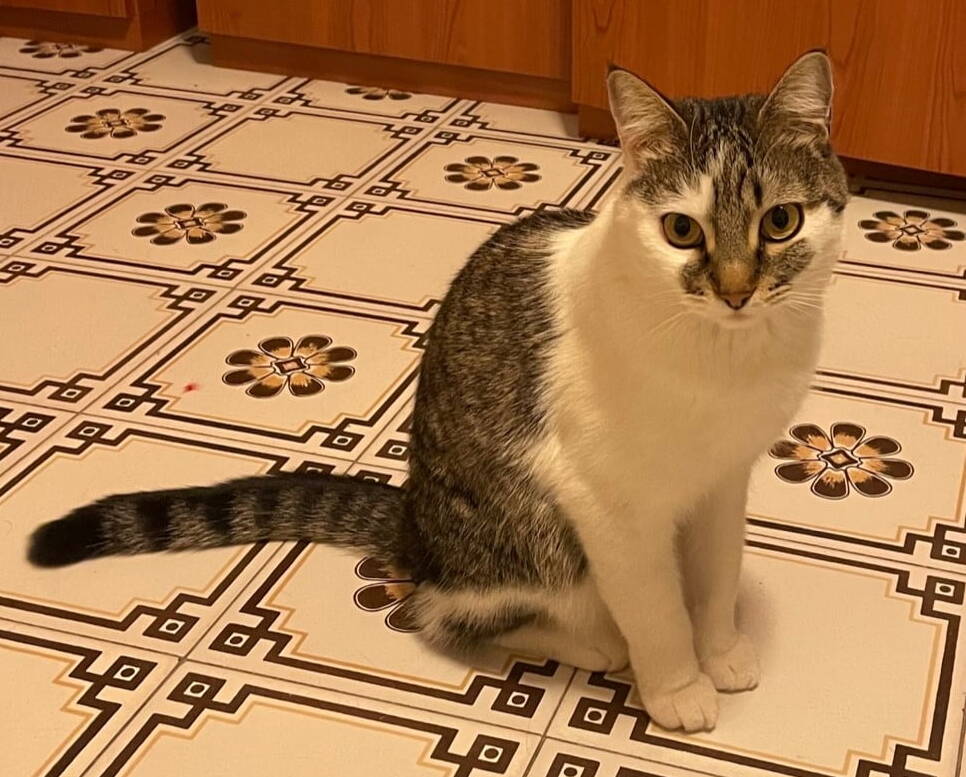 Renè