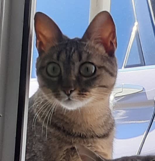 Chloe