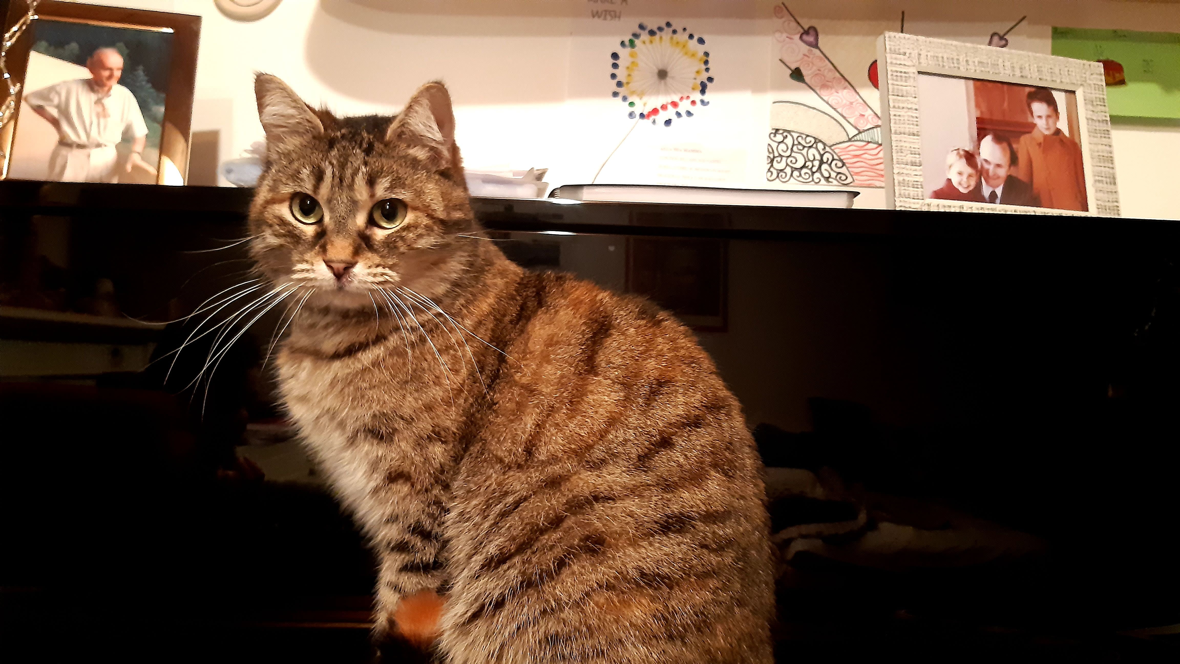 Luna