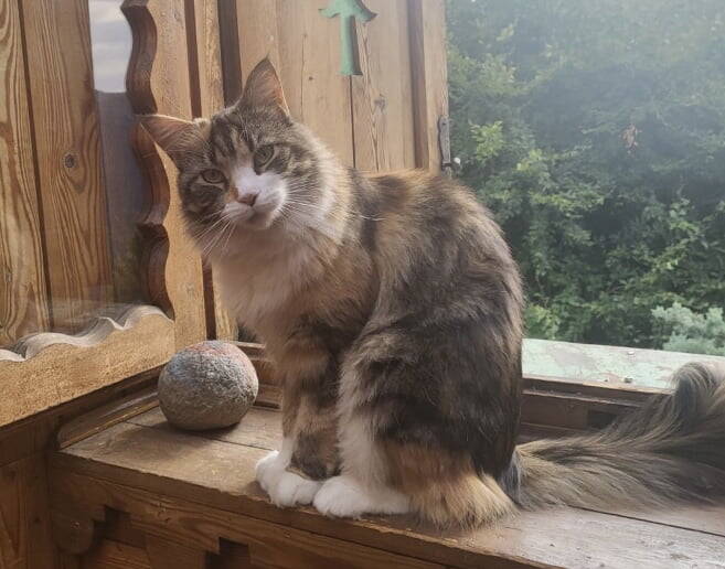 Freya