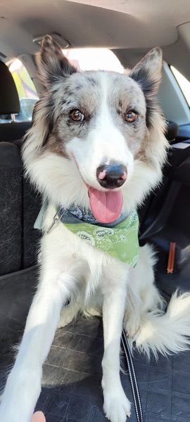 Yuki