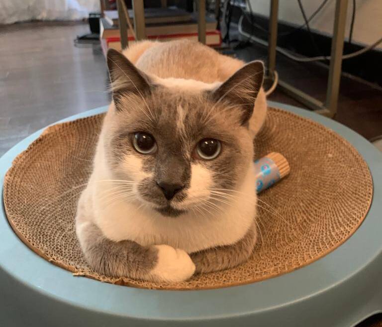Milo