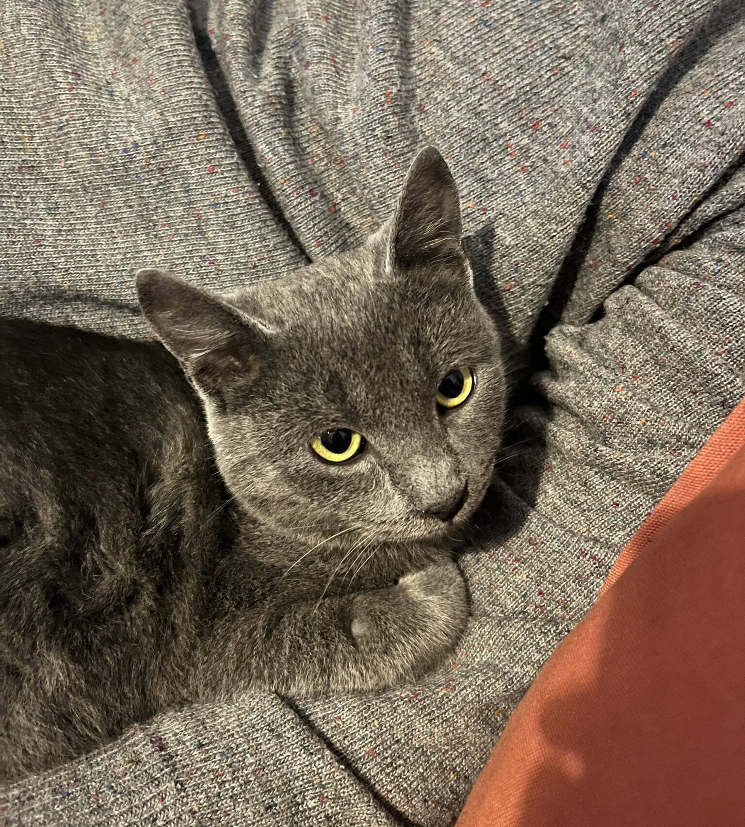 Tiberio