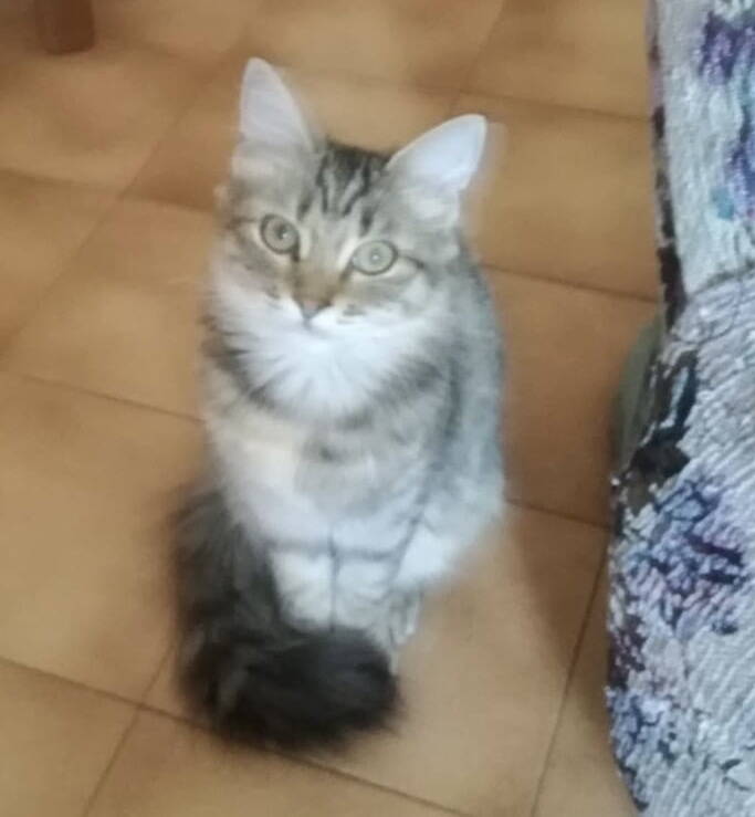 Mia