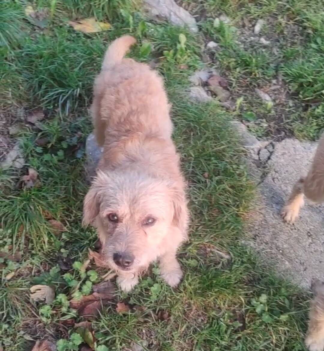 Billy