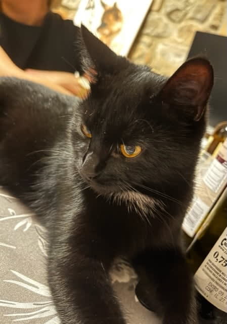 minù