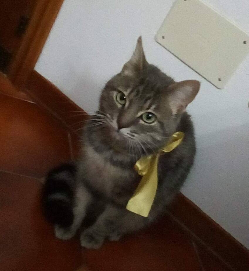 Miki
