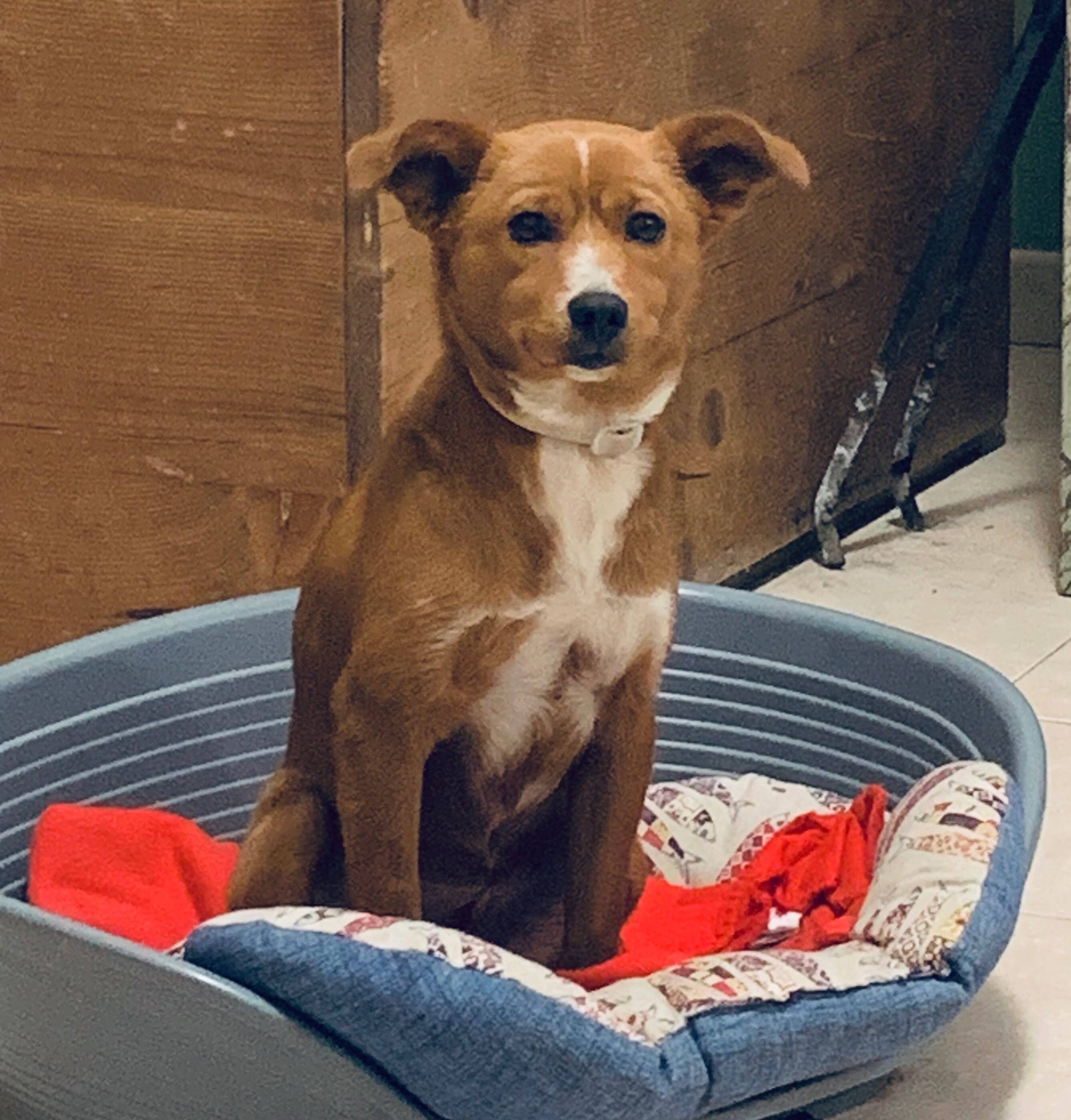 Gina