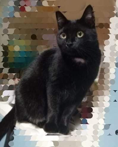 Minù