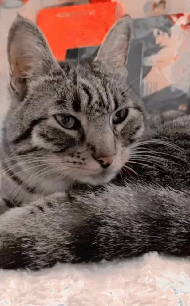 Pablo