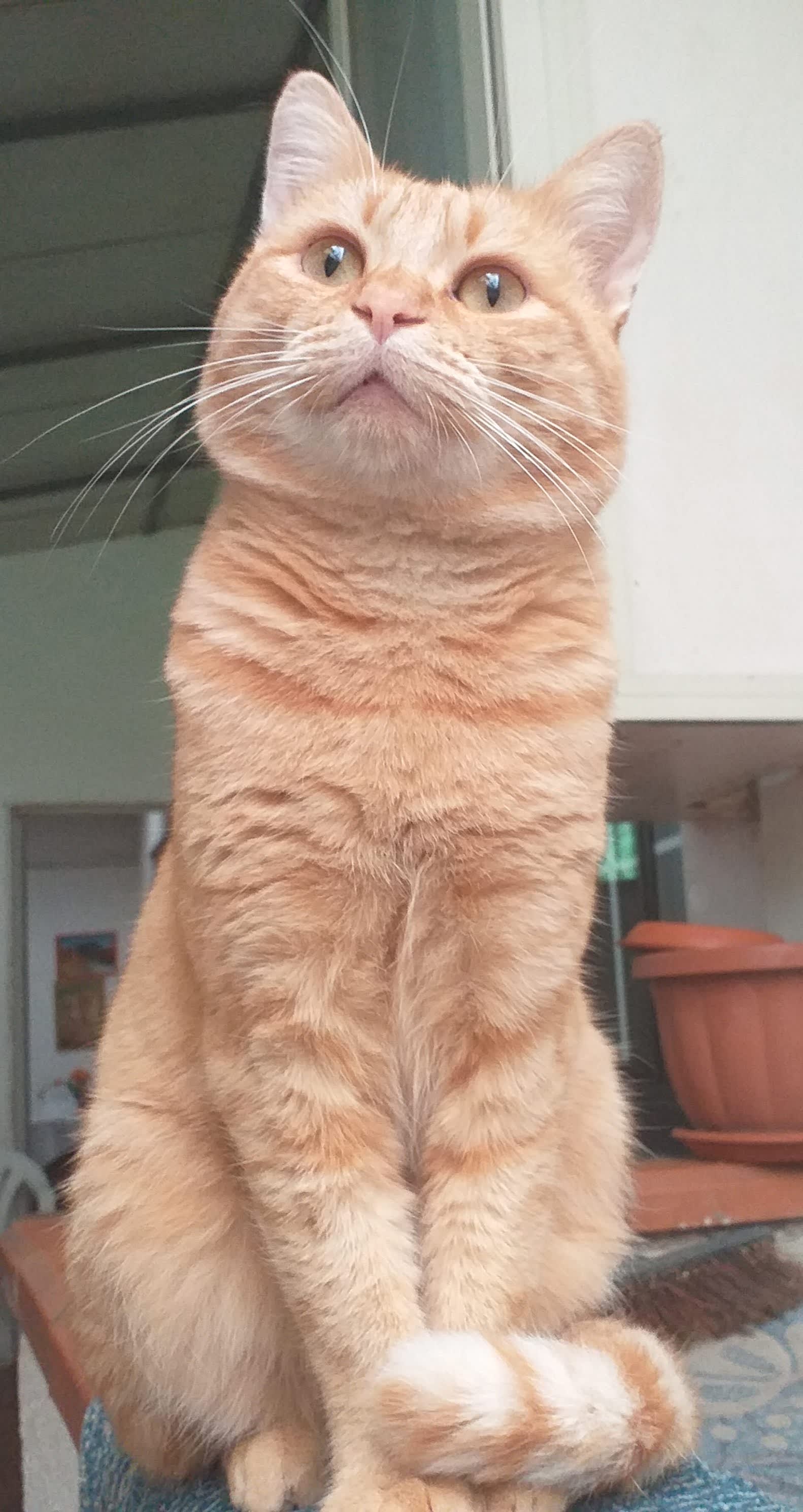 Sam