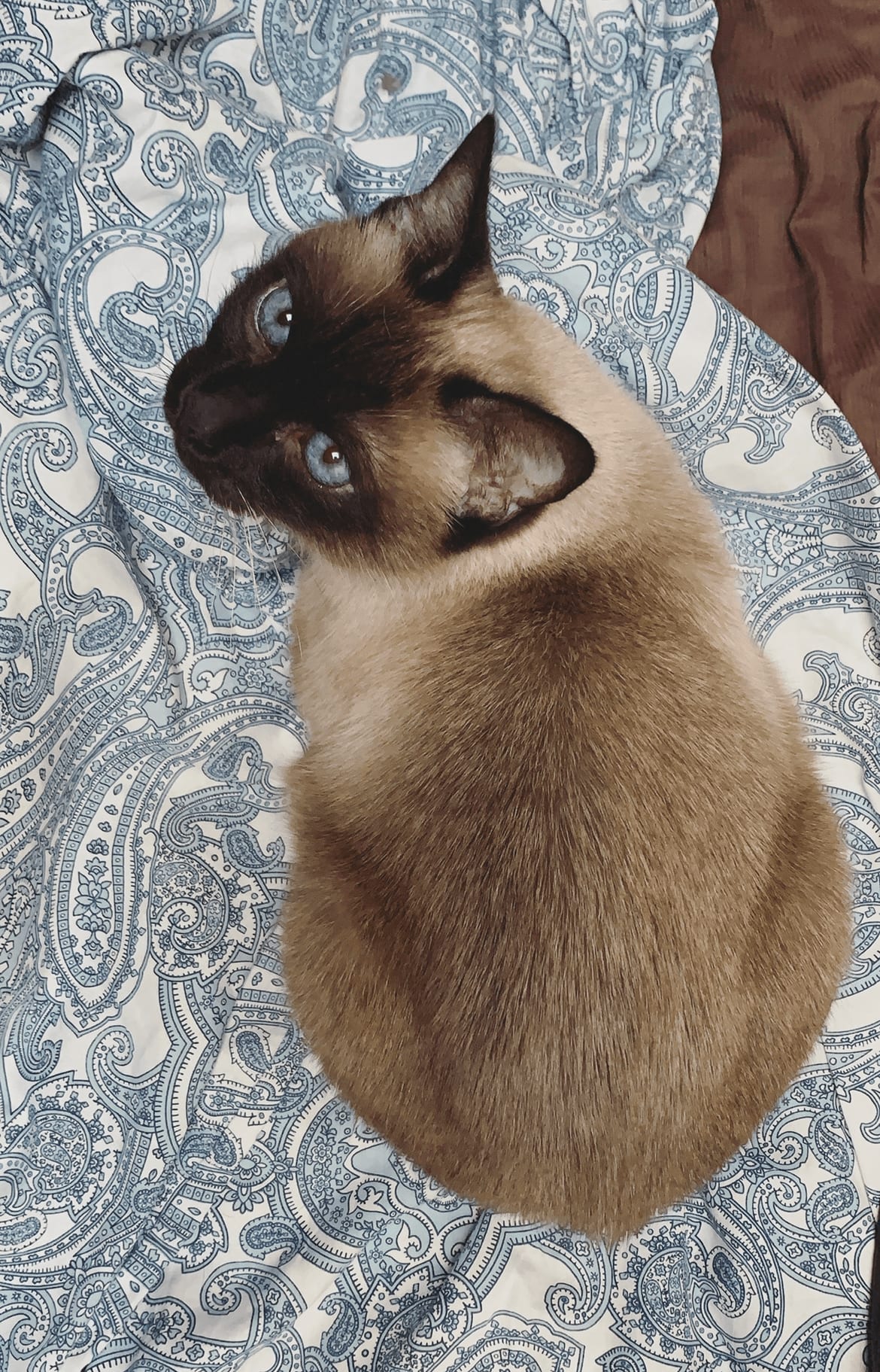 Romeo