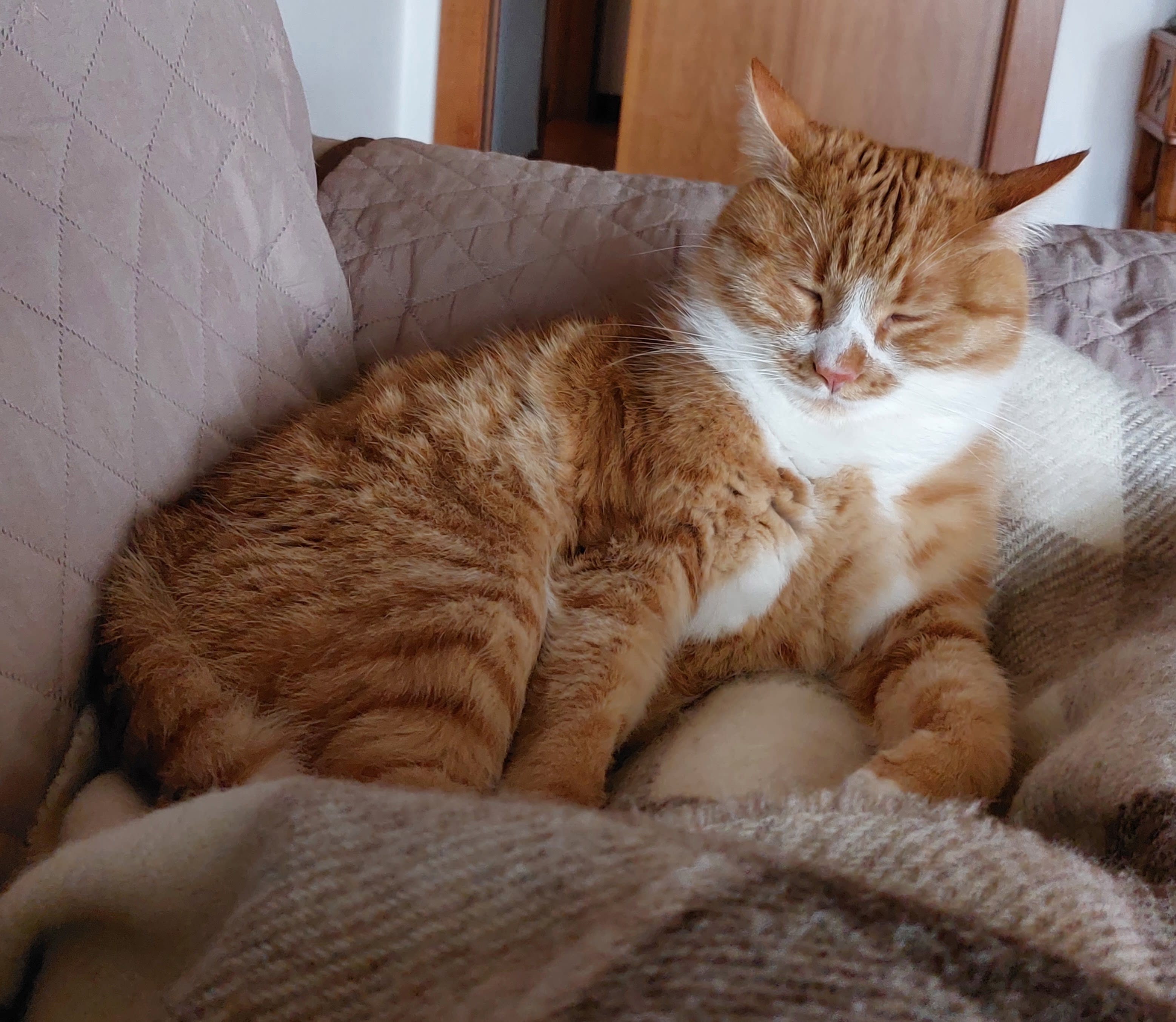 MILO