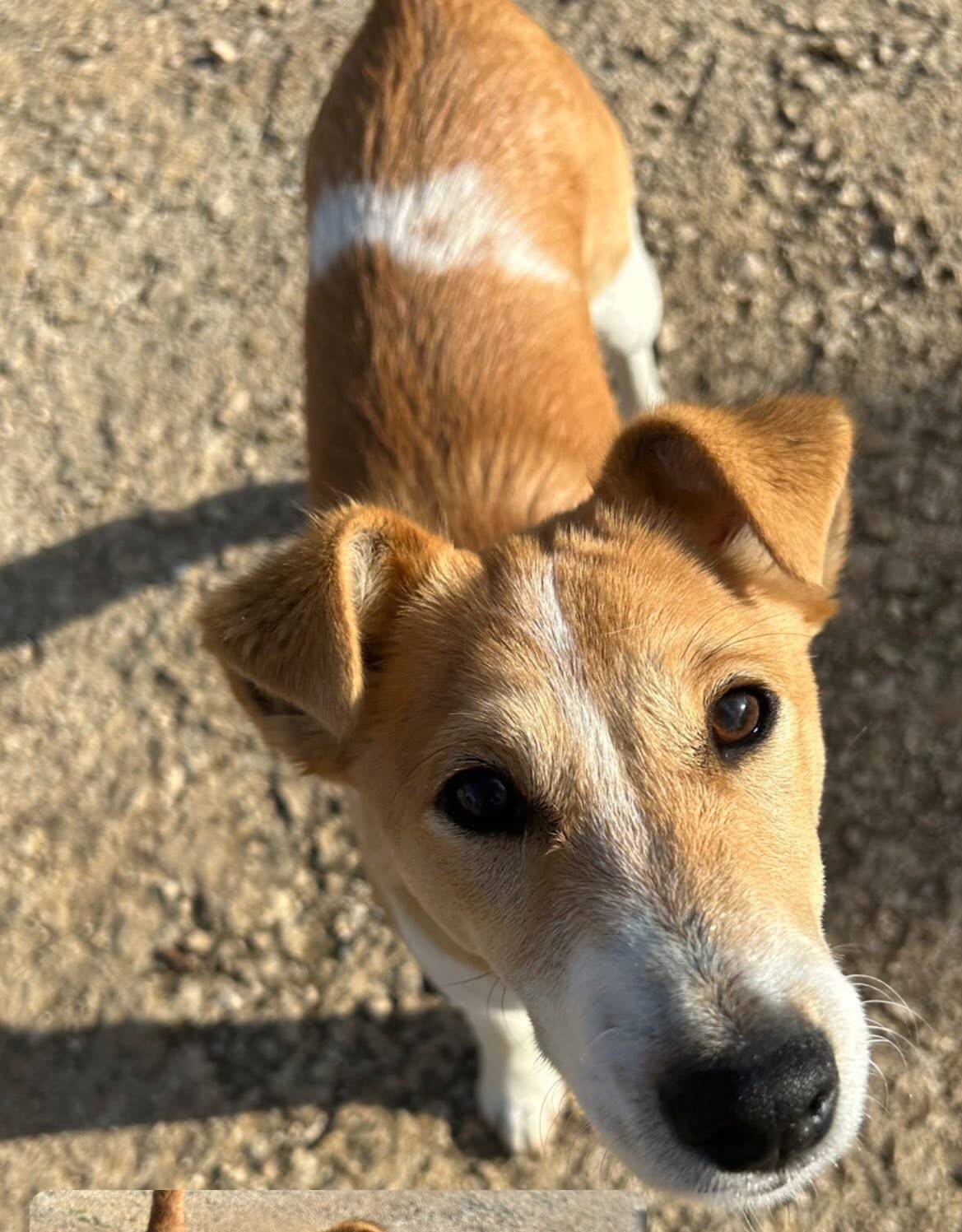 Charlie