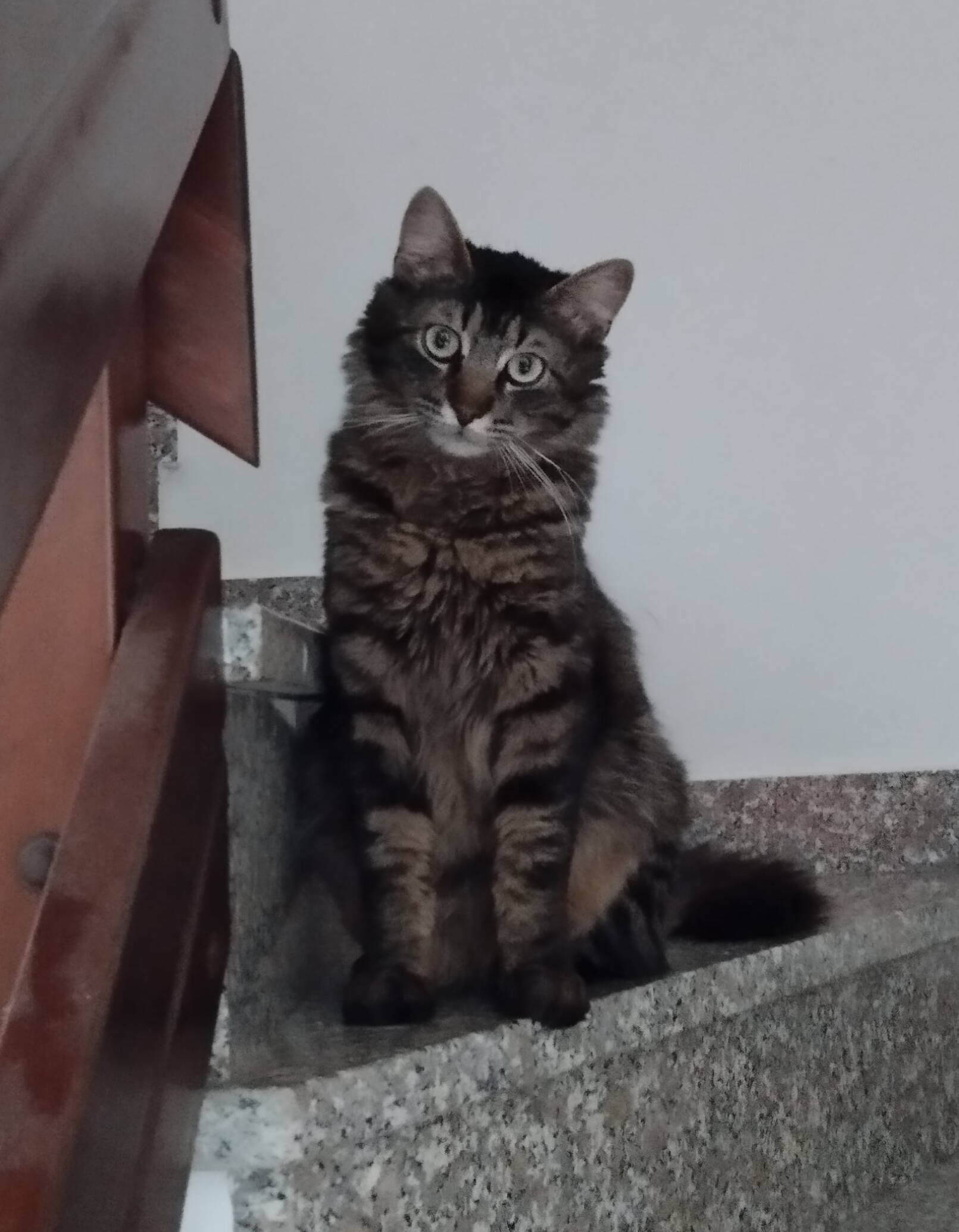 Hathor