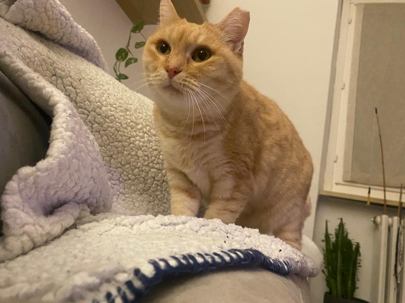 Nora