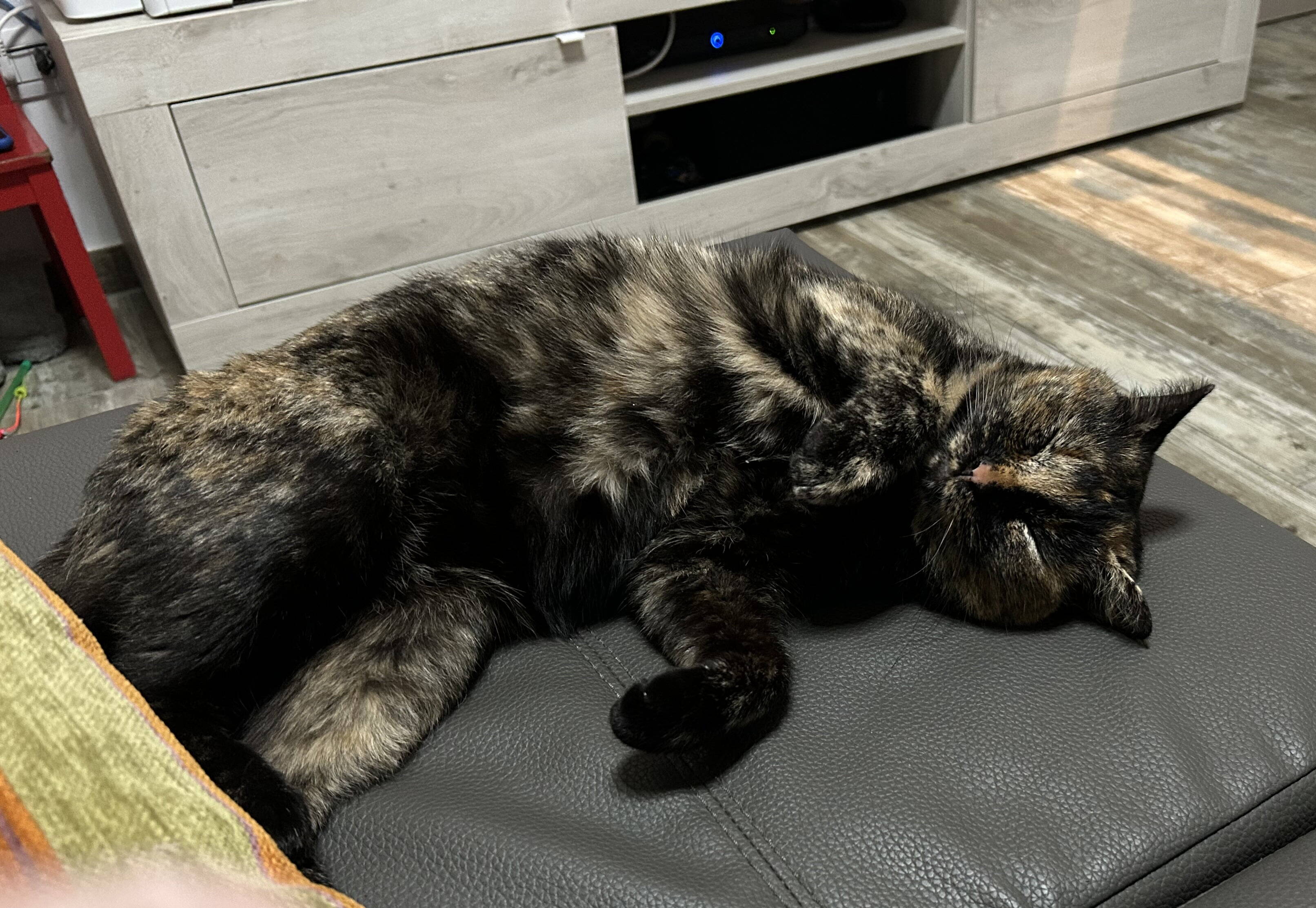 Zoe