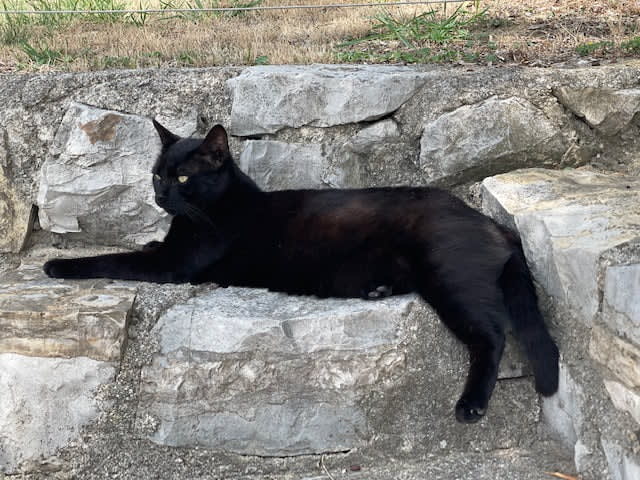 Nerone