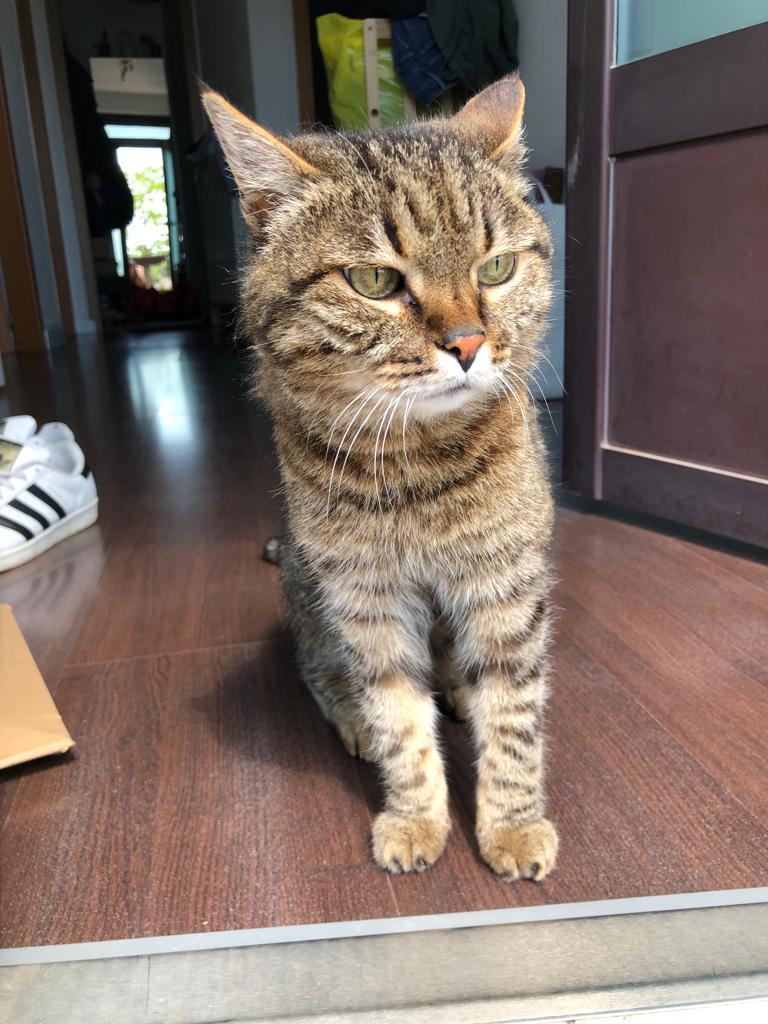 Minú