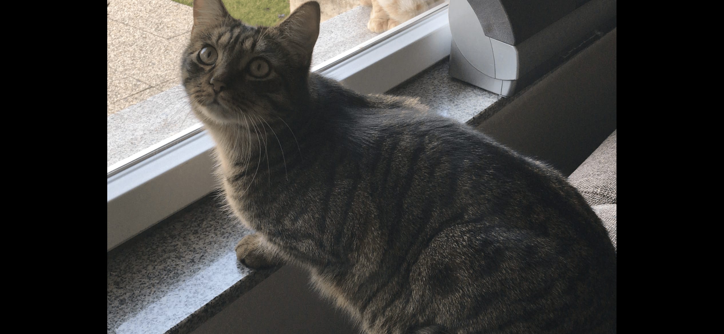 Bruce