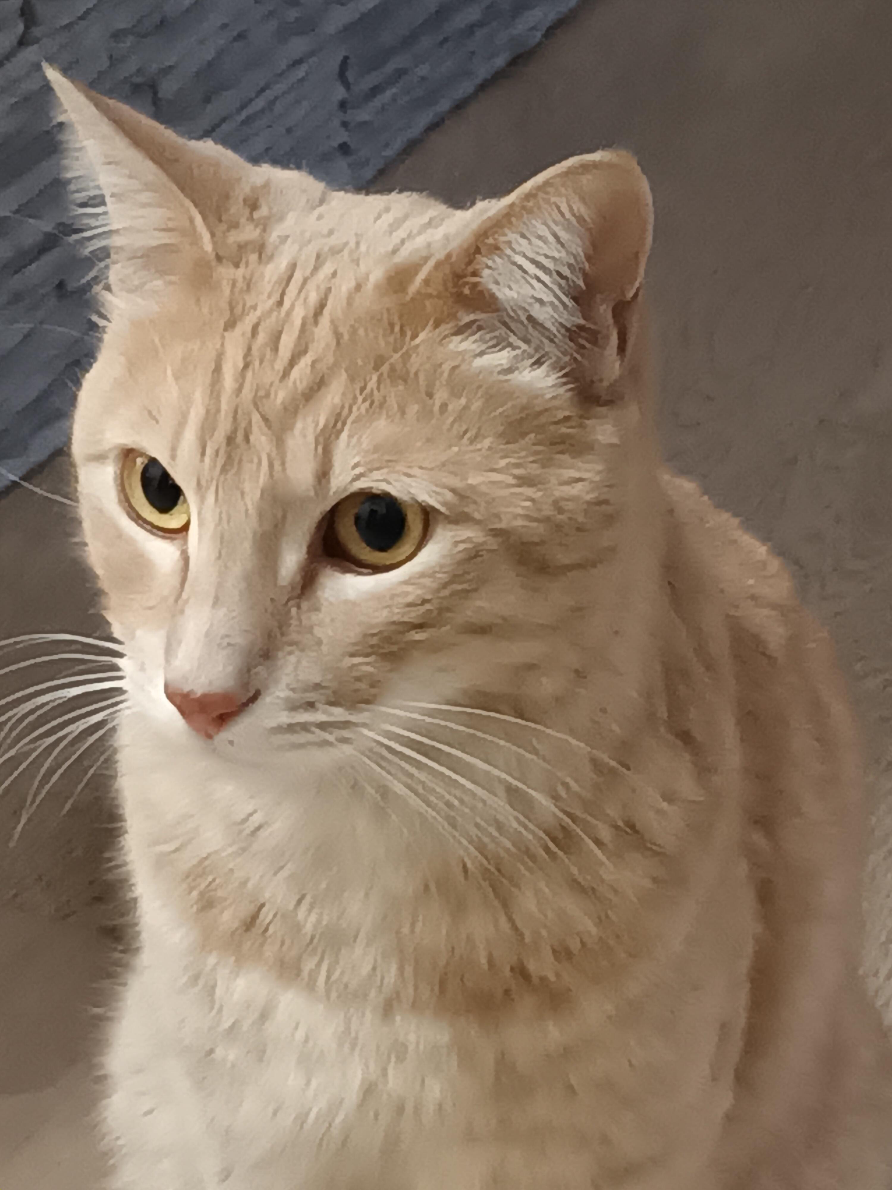 Ugo