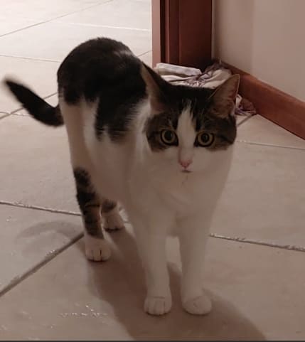Fiona